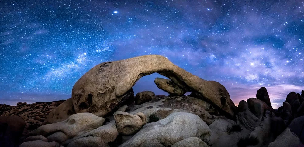 Milky way formed over Joshua trees