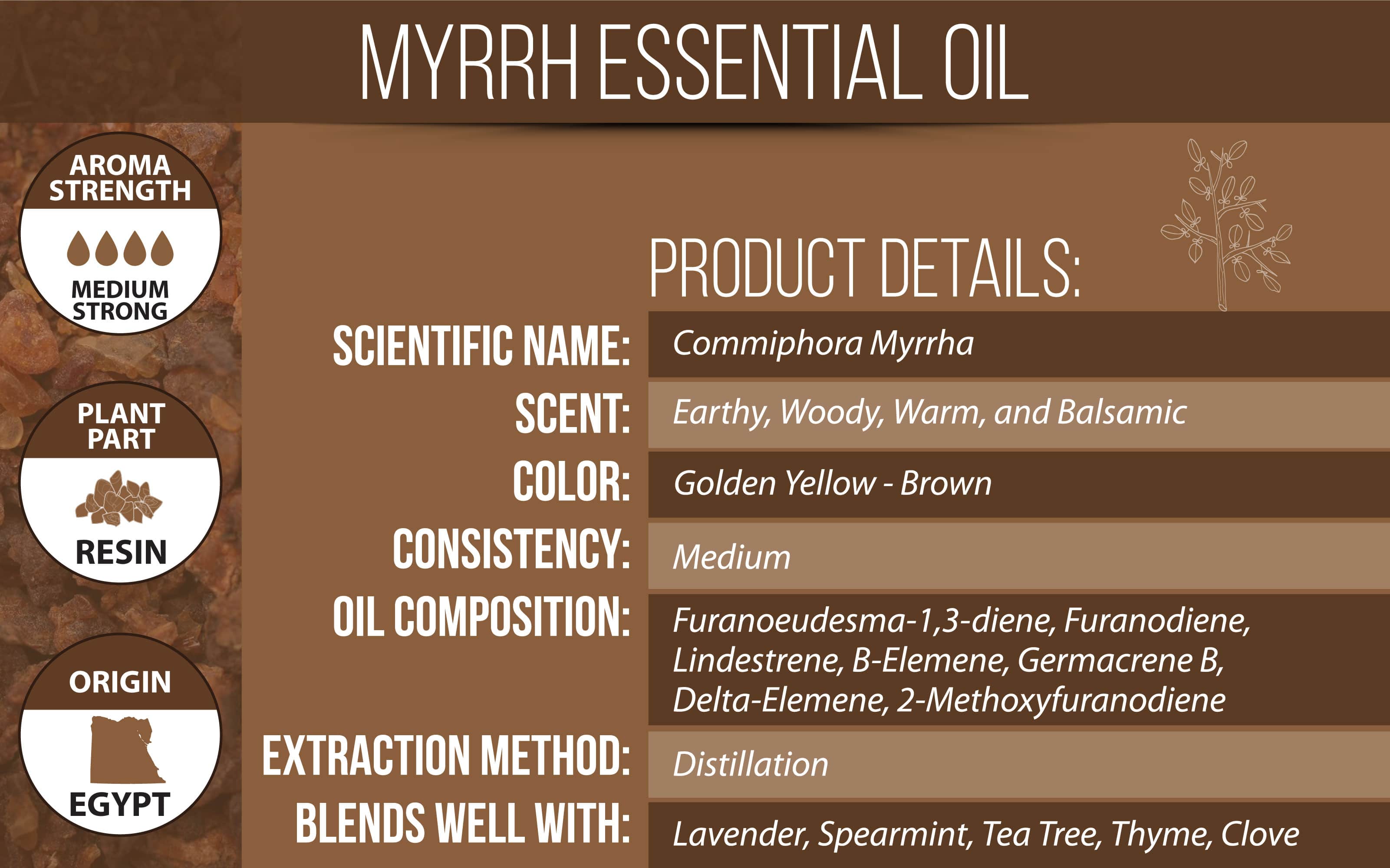 Myrrh Essential Oil, Uses, Benefits & Blends