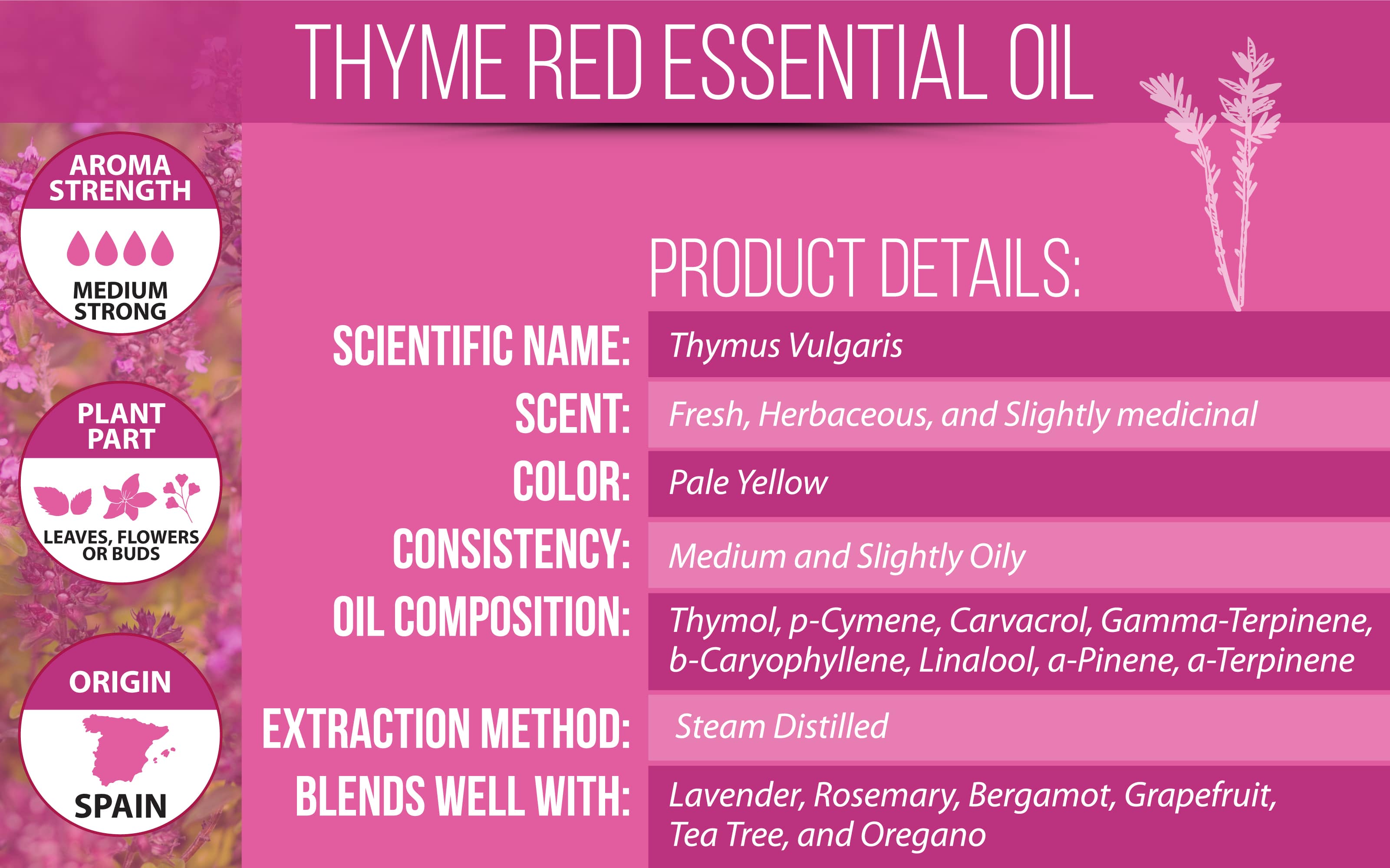 red thyme essential oil product details