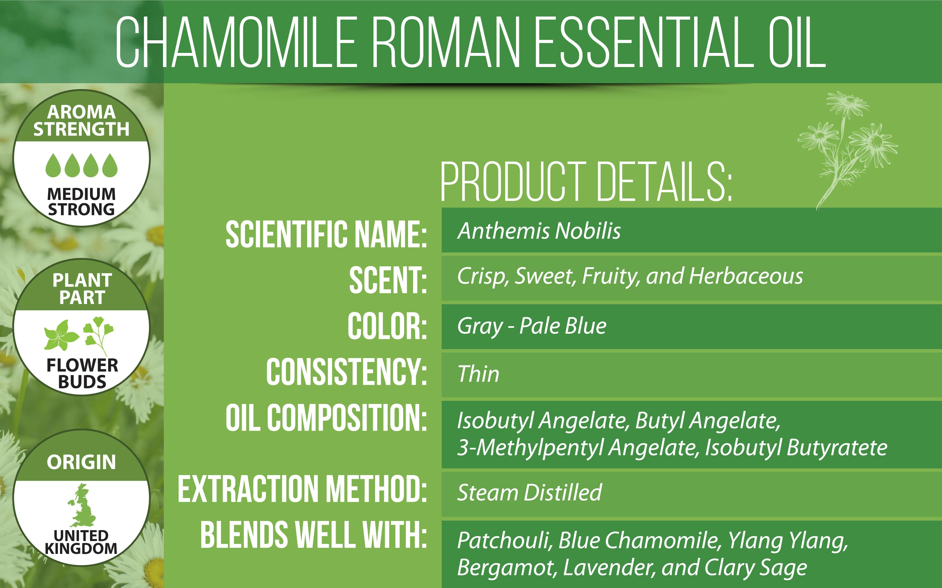 Evoke Calming Effects with Roman Chamomile Essential Oil