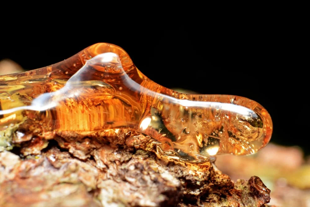 Solid Amber Resin