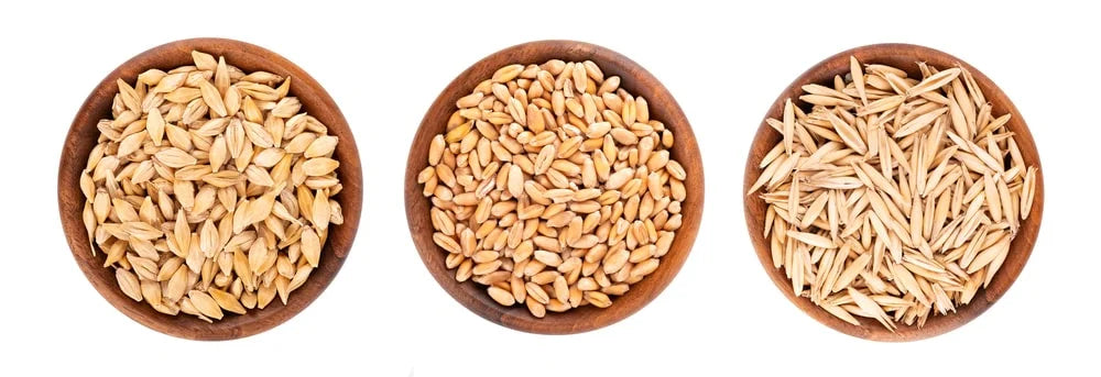 Bowls of wheat, oat, barley grains
