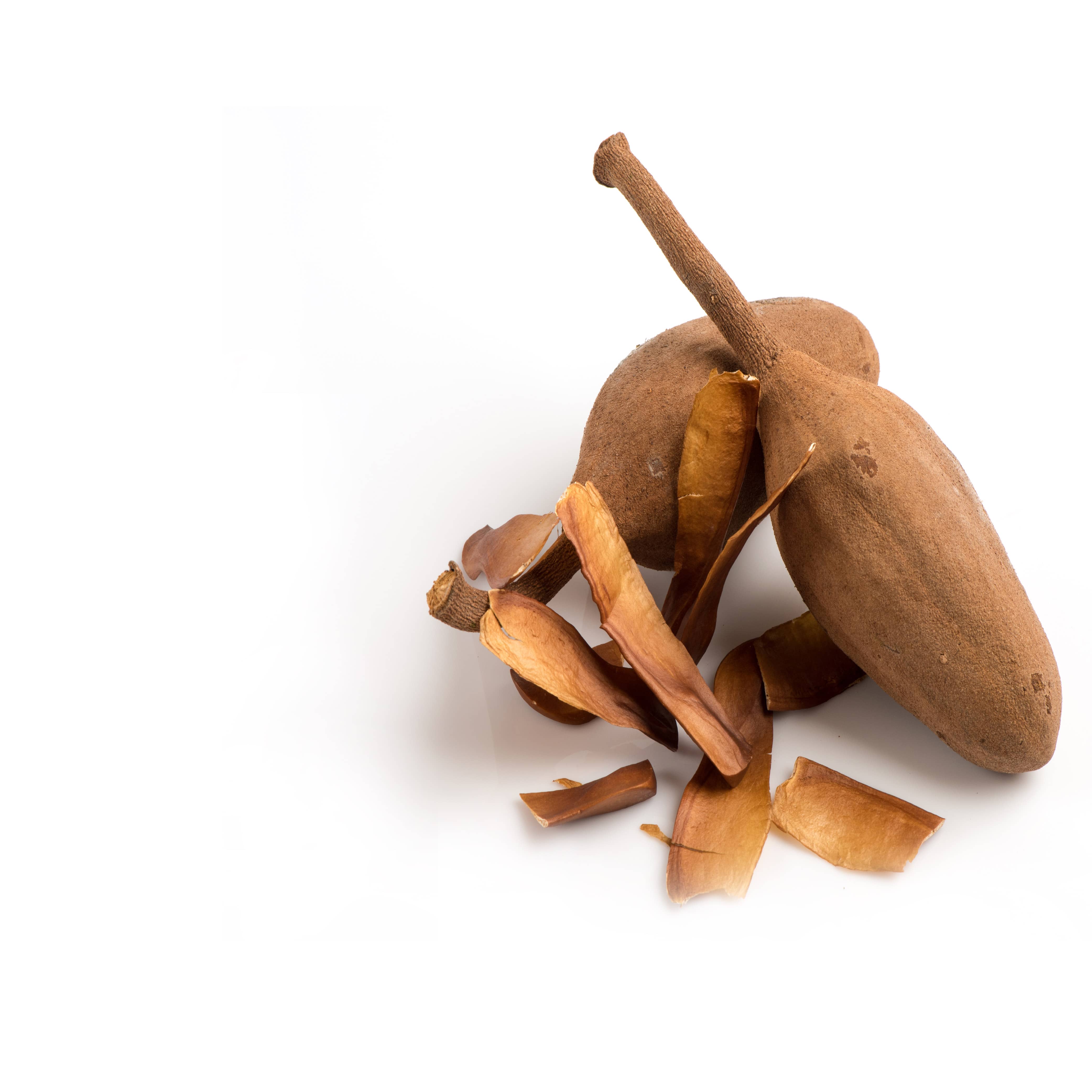 mahogany teakwood – gold + ivy