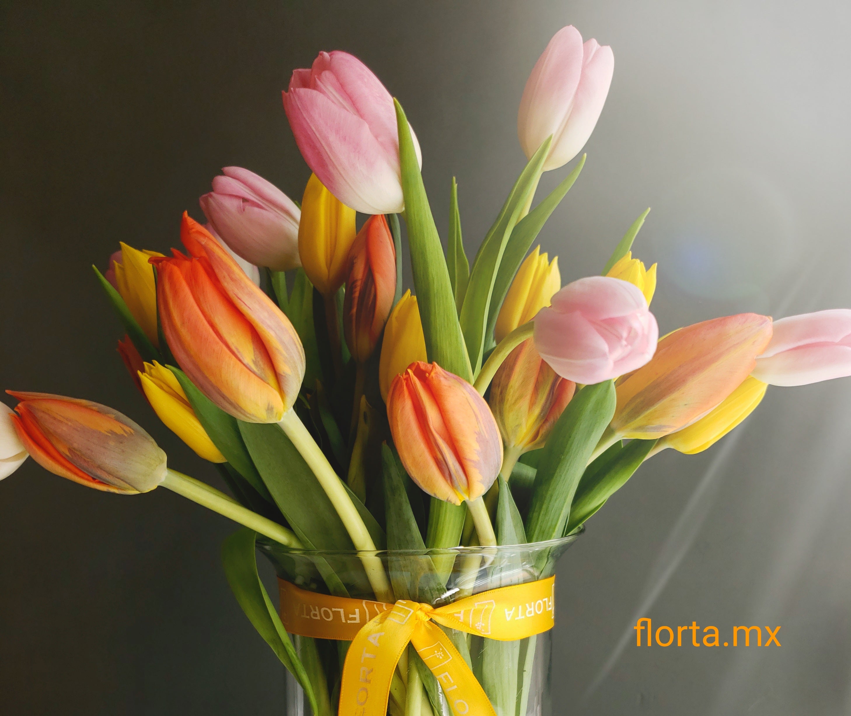 Amor en Tulipanes – florta.mx