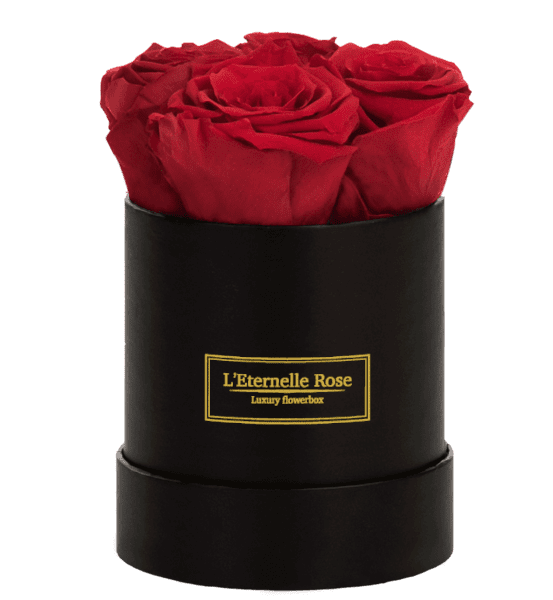 L'Eternelle Rose - Flowerbox de roses éternelles | Rose éternelle – L'Eternelle  Rose - Rose éternelle et flowerbox