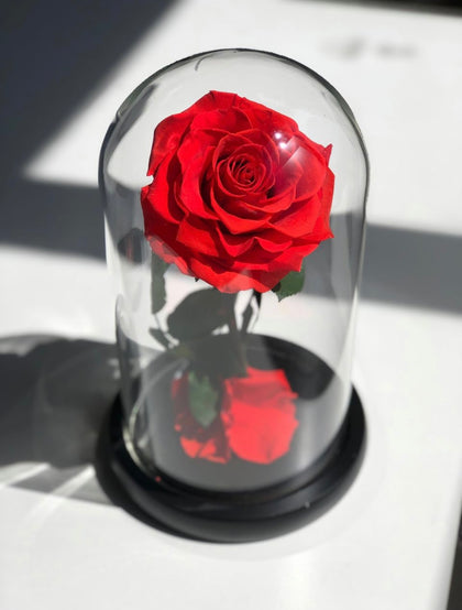L'Eternelle Rose - Flowerbox de roses éternelles | Rose éternelle –  L'Eternelle Rose - Rose éternelle et flowerbox