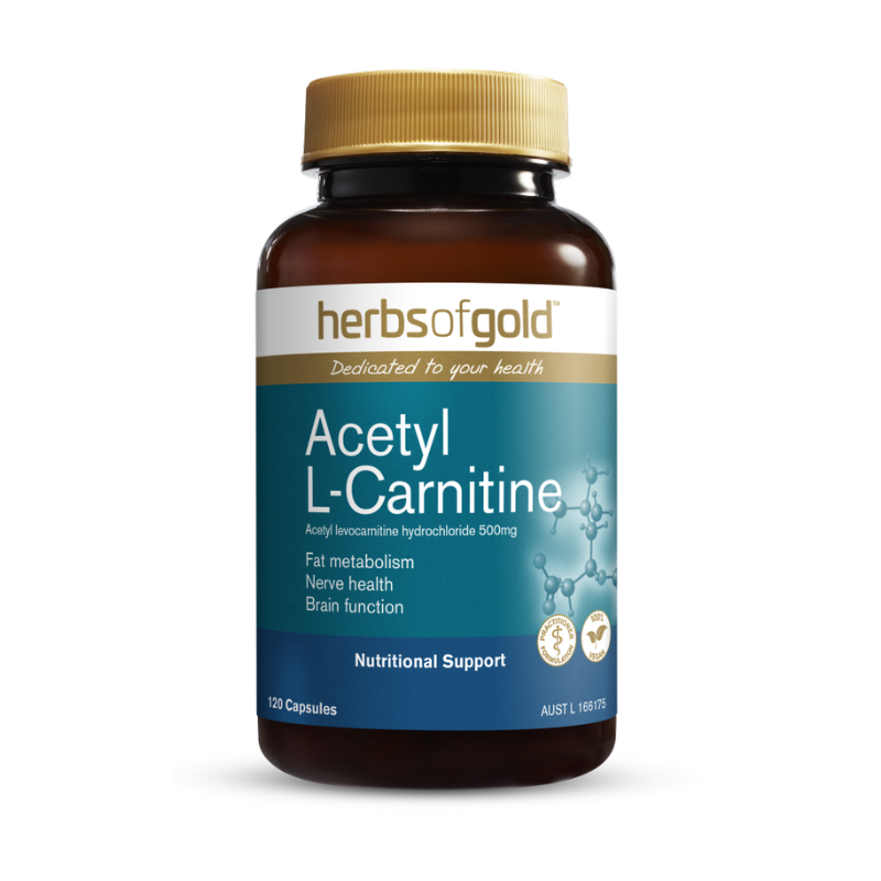 Acetyl L Carnitine By Herbs Of Gold Supplement Mart