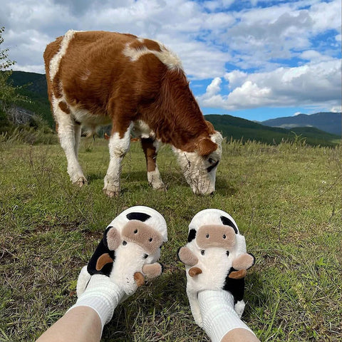 cow plush slippers, fluffy cows slippers, tiktok cow slippers, ladies cow slippers,