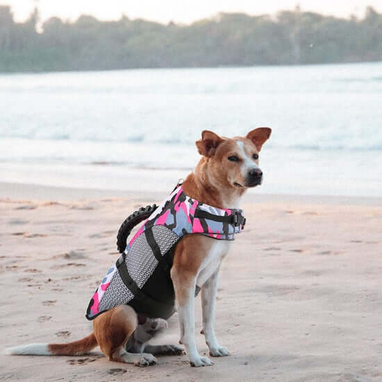 dog life jacket, doggie life jacket, dog life vest, Life vest for dogs,