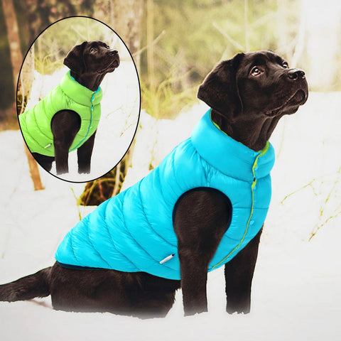 dog-winter-coat-dog-puffer-jacket-winter-coat-for-dog