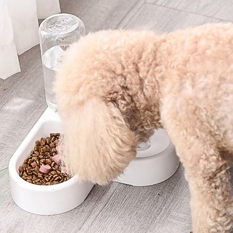 dog bowls-dog-food and water-automatic-dog-feeder