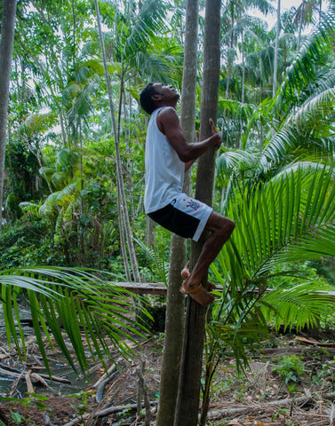 cueilleur acai en amazonie production acai