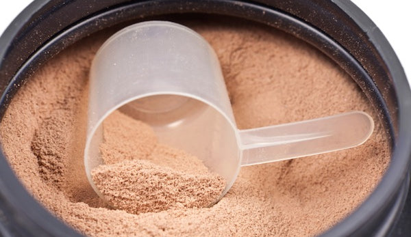 Protein Powder