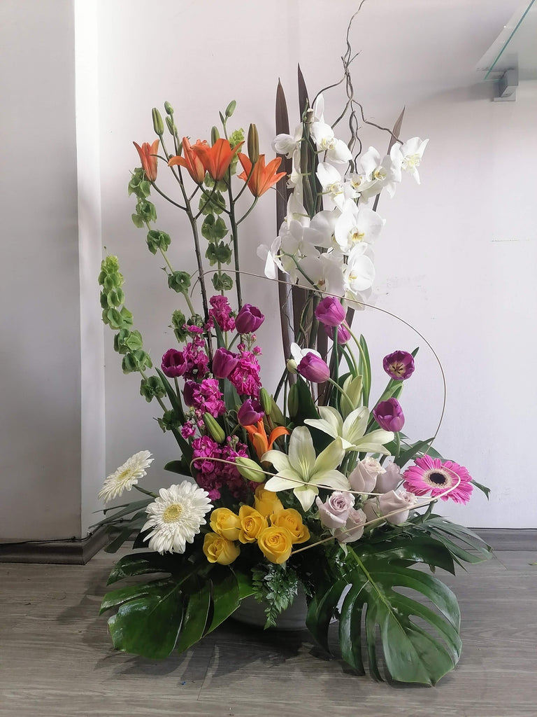 Orquídeas y tulipanes – Floristería Nic & Eros
