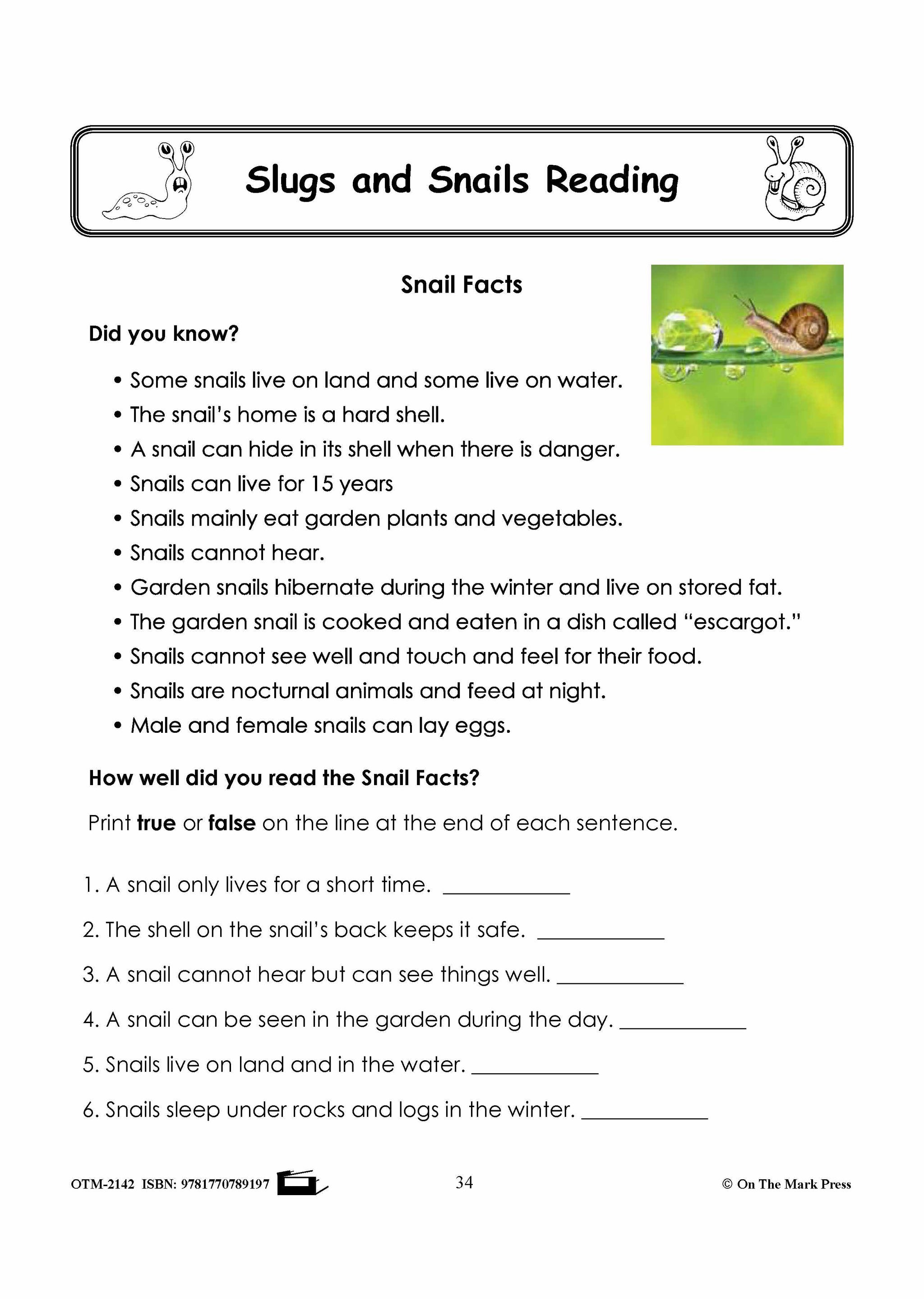 Slugs Snails Reading Stories Worksheets Grades 1 3