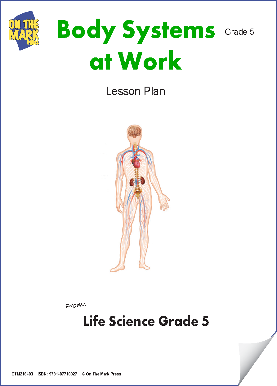 body systems lesson worksheets grade 5