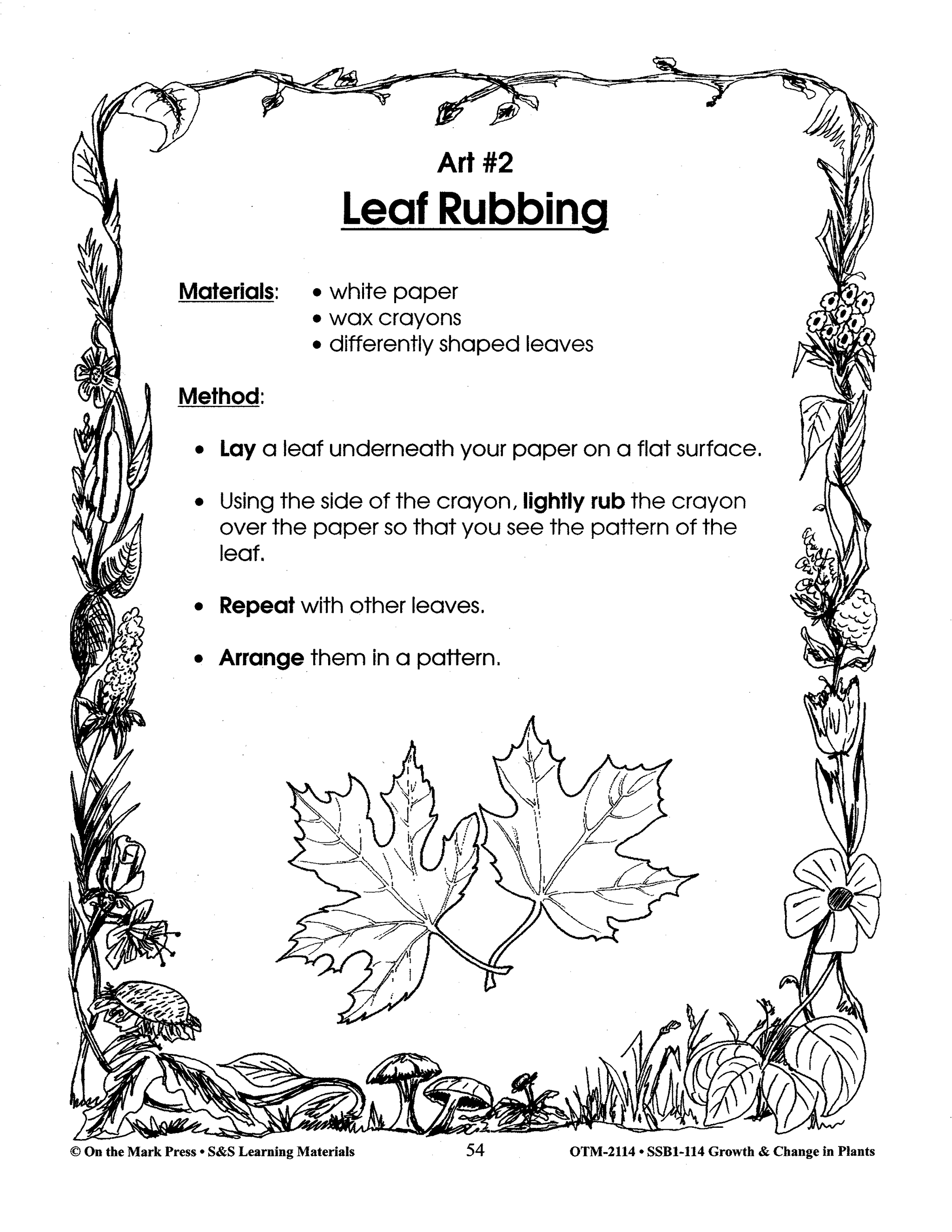 Plant Art Activities Grades 2-3