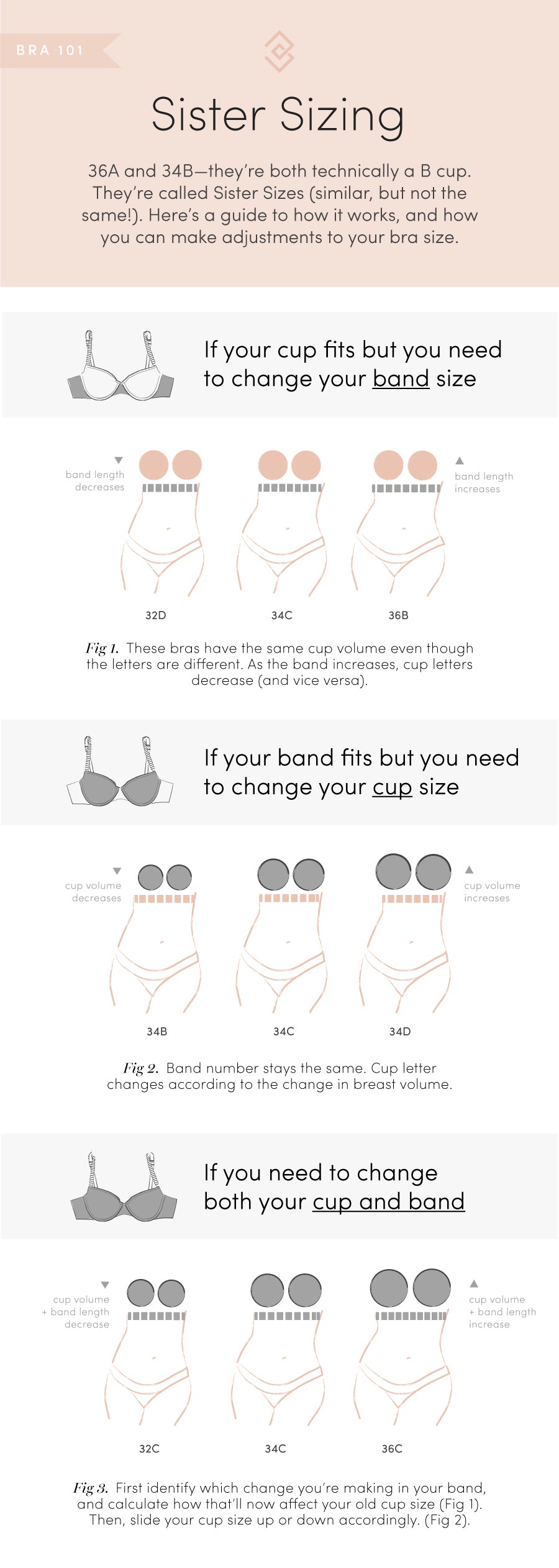 Have you ever been told a B cup is the most common bra size?👀 Follow