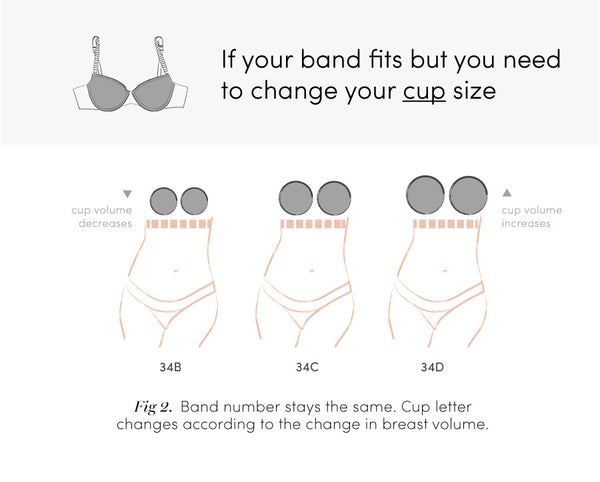 sister sizes the bra secret every woman should know thirdlove 36dd sister size