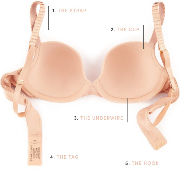 The Anatomy of the Perfect Fit – ThirdLove