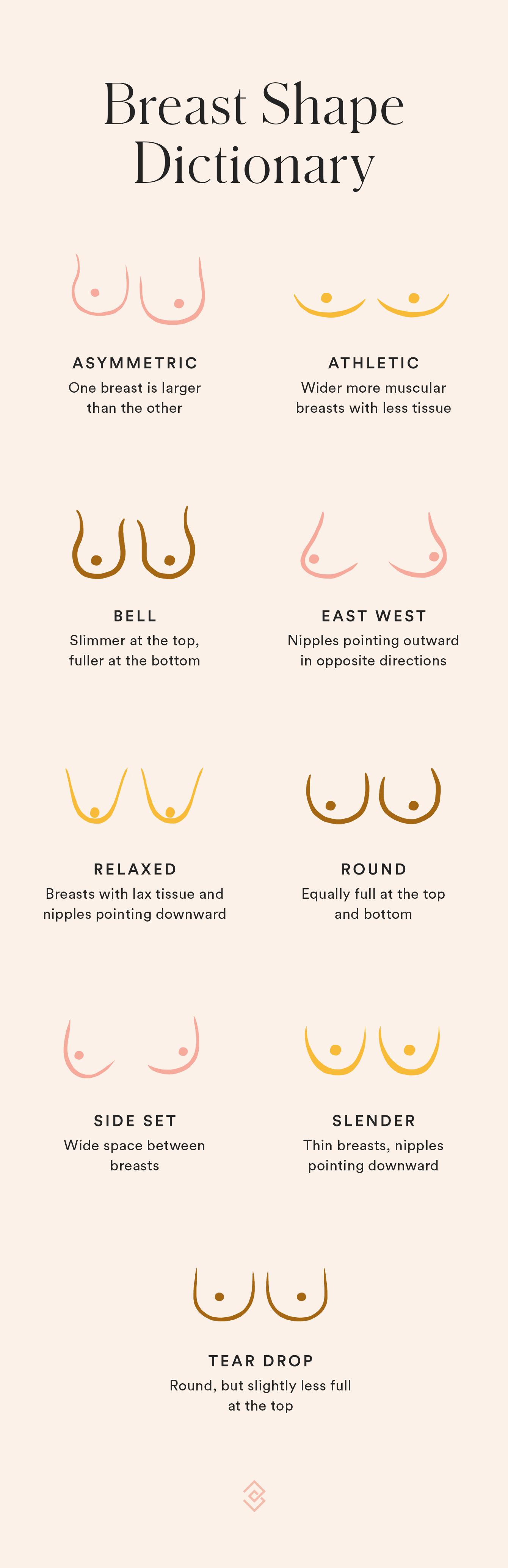 thumbs./z/types-women-s-breasts-wome