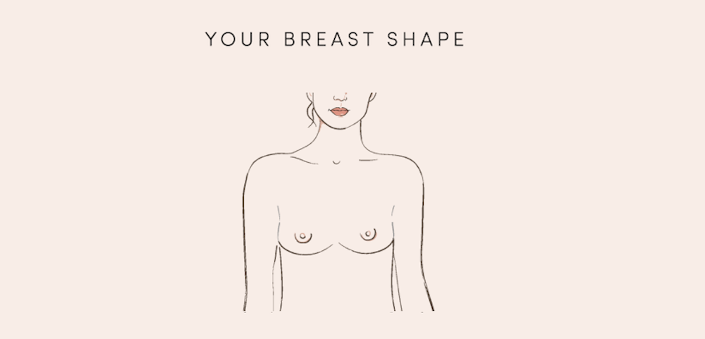 Breast Shape Dictionary – Finding Your Breast Shape & Type – ThirdLove