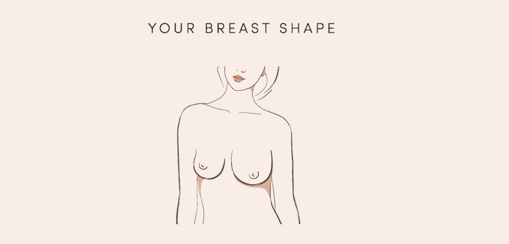 Types of women's Breasts. Women's Breast Icon, Breast Icon Vector Stock  Vector