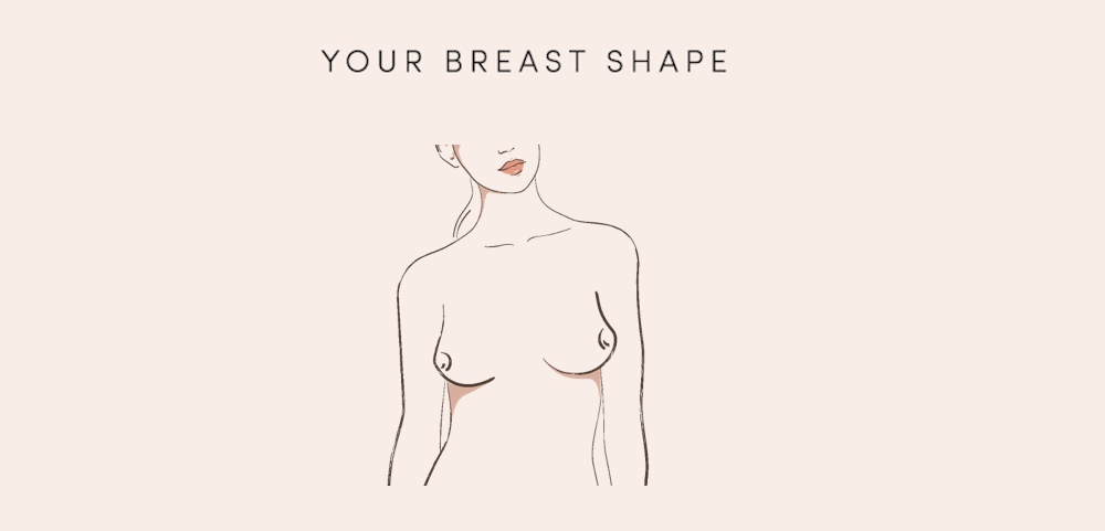 Breast Shape Dictionary – Finding Your Breast Shape & Type – ThirdLove