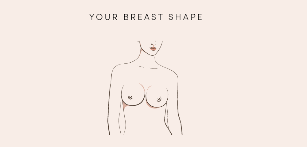 Size characteristic (min y, max y and min z) of a breast (stand-up