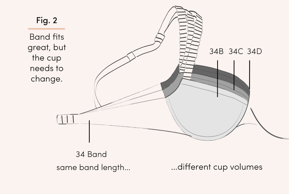 The Same Bra Cup May Look Different Based On Band Size – PerfectDD