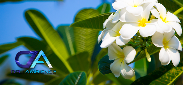 Sandalwood Flower