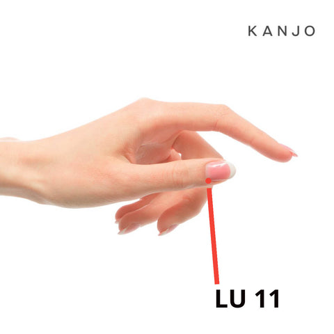 LU11 pressure point in hand