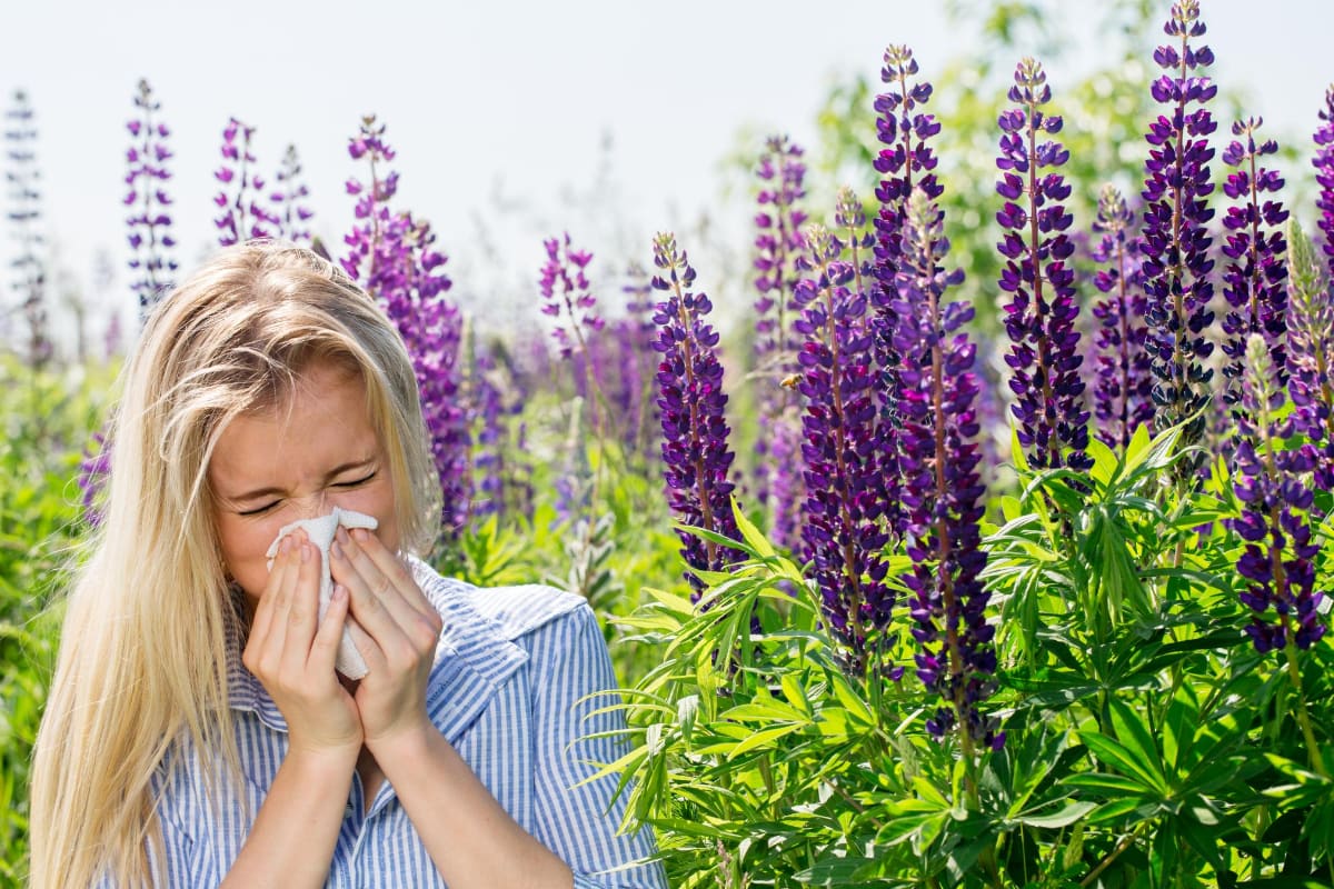 Pressure Points for Allergy Relief