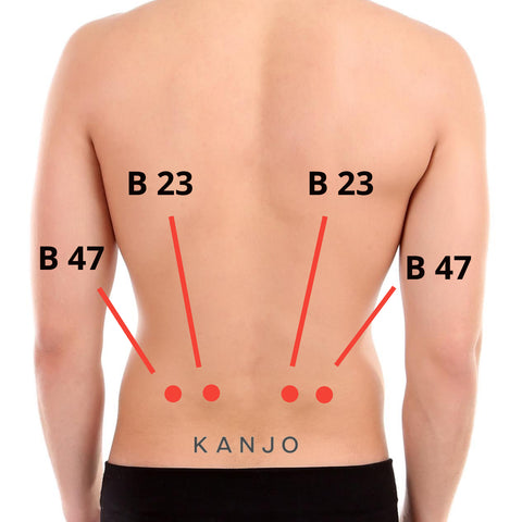 Bladder 23 (B 23, Kidney Shu) and Bladder 47 (B 47, Will's Chamber)  Pressure Points