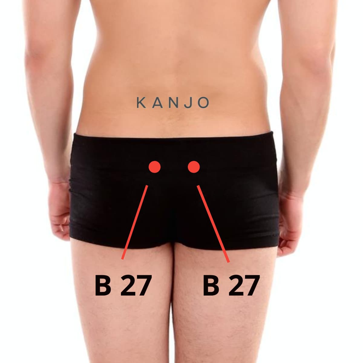 Bladder 27 (B 27 or BL 27) Pressure Points