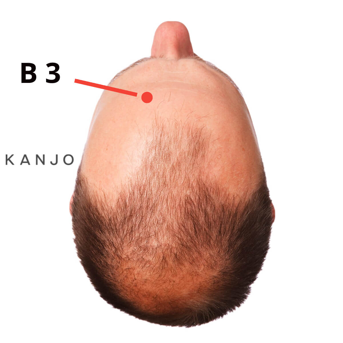 Bladder 3 (B 3 or UB 3) — Meichong or Eyebrow Ascension