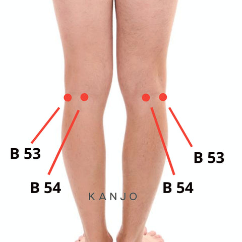 Bladder 54 (B 54, Commanding Middle) Pressure Points