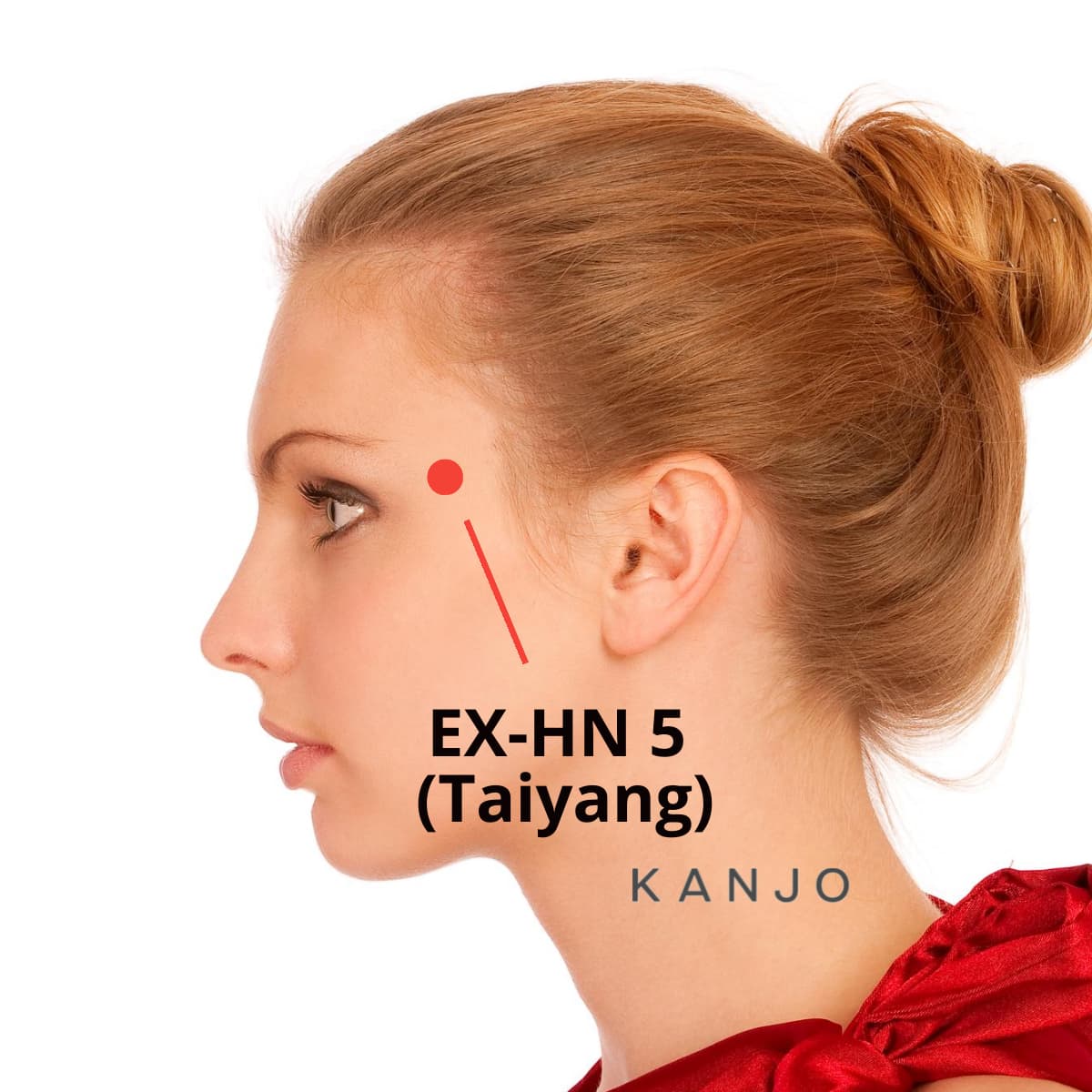 EX-HN 5 Pressure Point