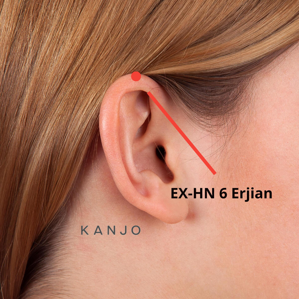 EX-HN 6 Erjian or Ear Apex Pressure Point