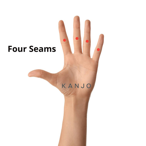 Four Seams Pressure Points