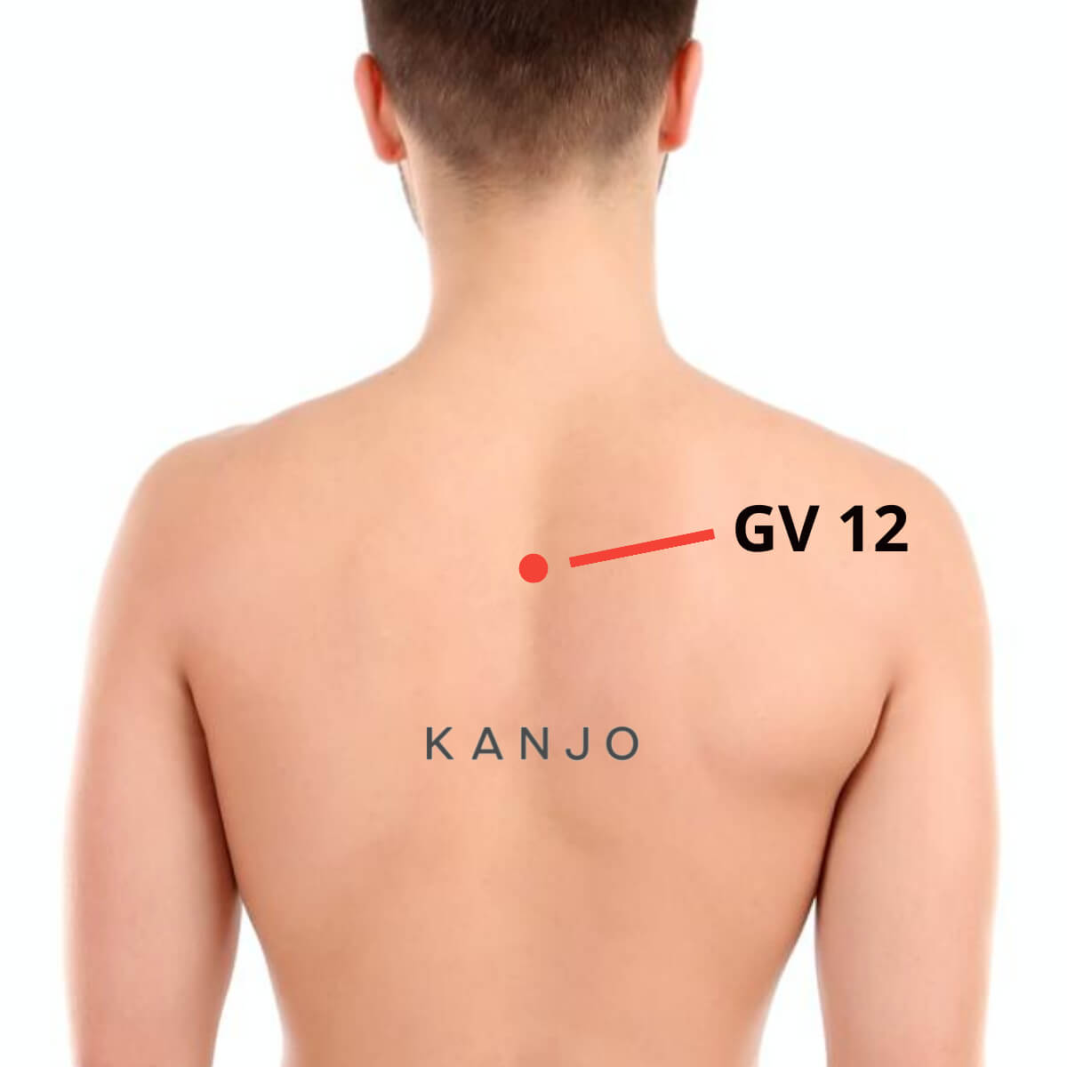 Governor Vessel 12 (GV 12 or DU 12) Pressure Point