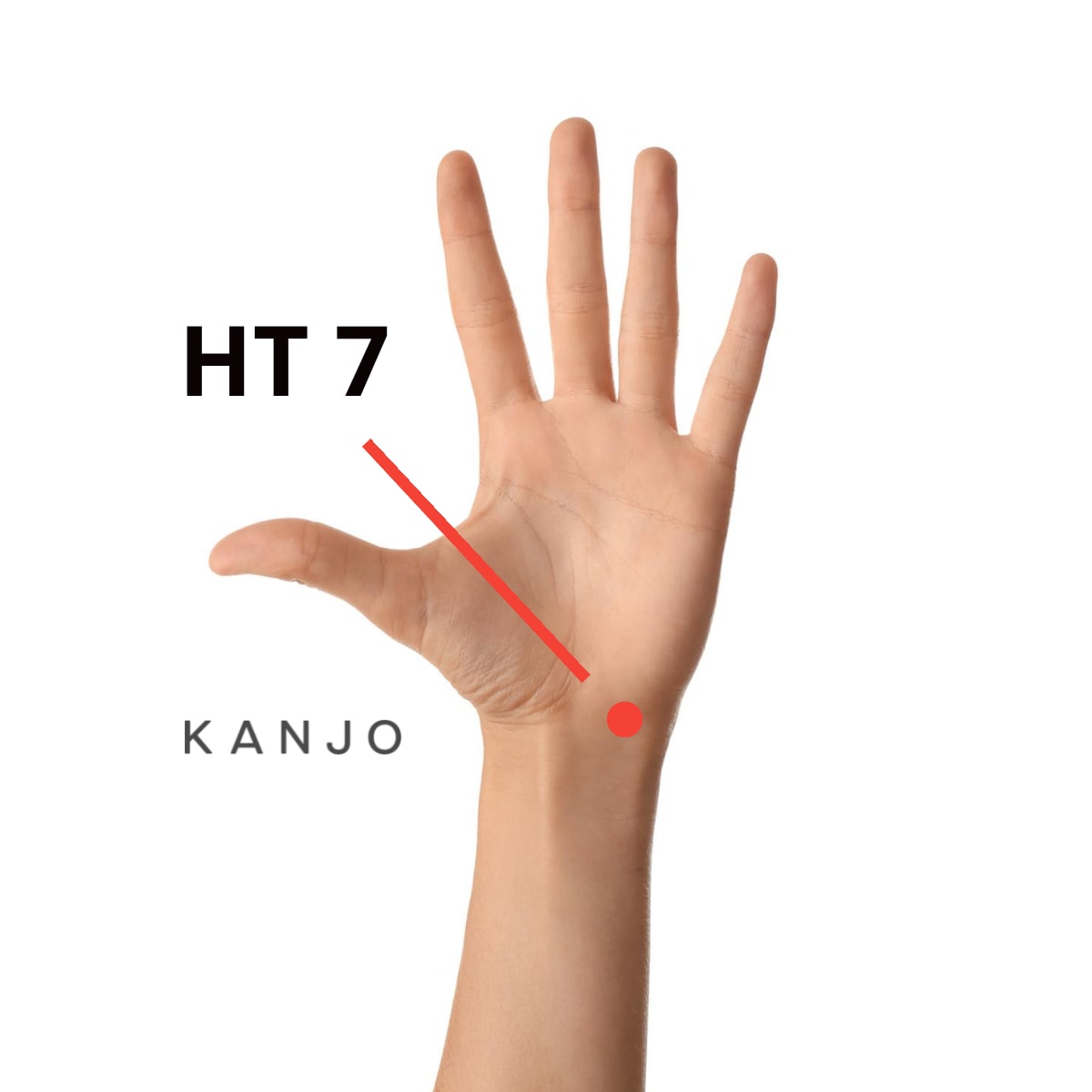 Heart 7 (HT 7) Pressure Point