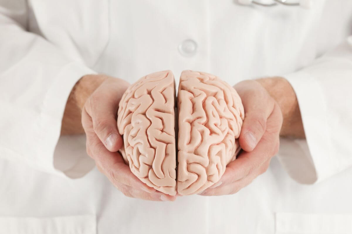 Doctor Holding Plastic Brain