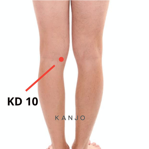 Kidney 10 (KD 10) - Nourishing Valley