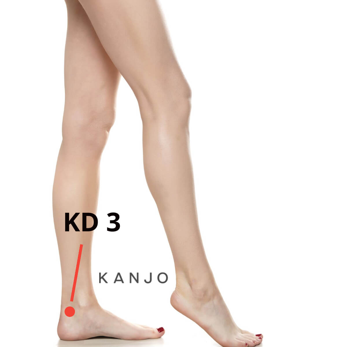 Kidney 3 (KD 3) Pressure Point