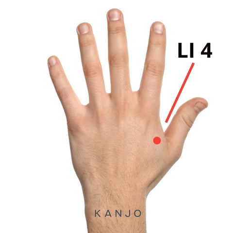 Large Intestine 4 (LI 4) Pressure Points