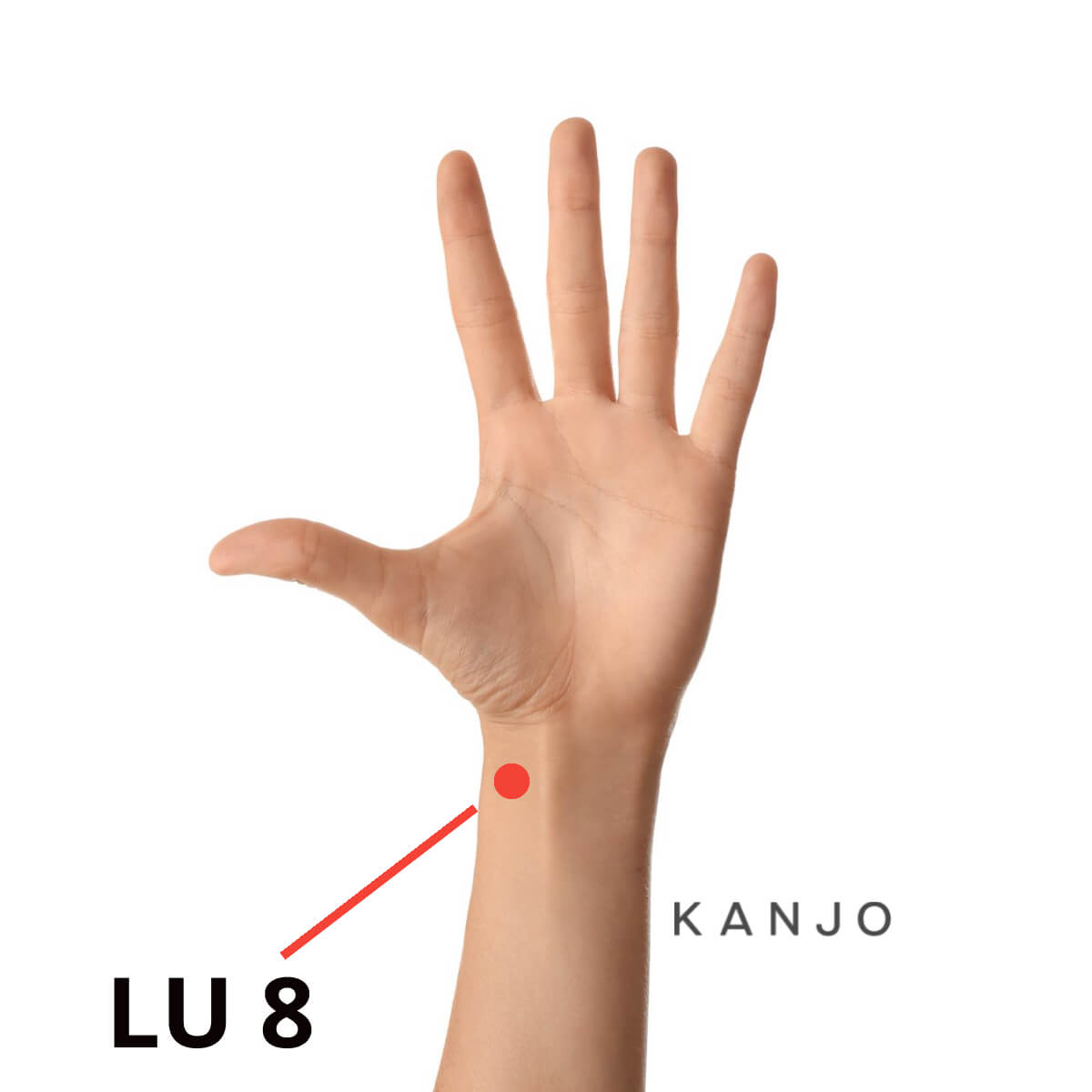 Lung 8 (LU 8) Pressure Point