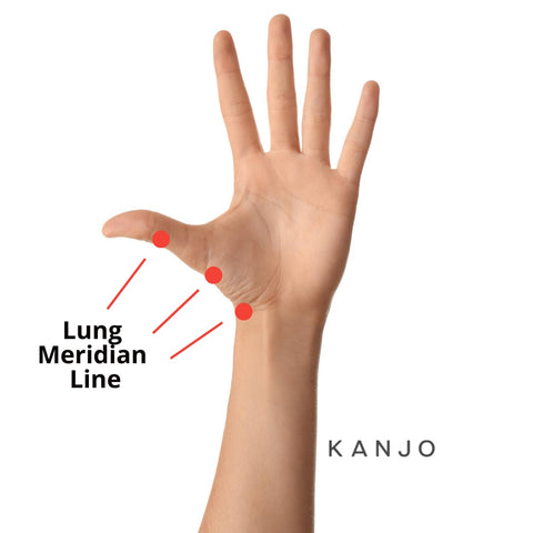 Lung Meridian (LU) Line Pressure Points