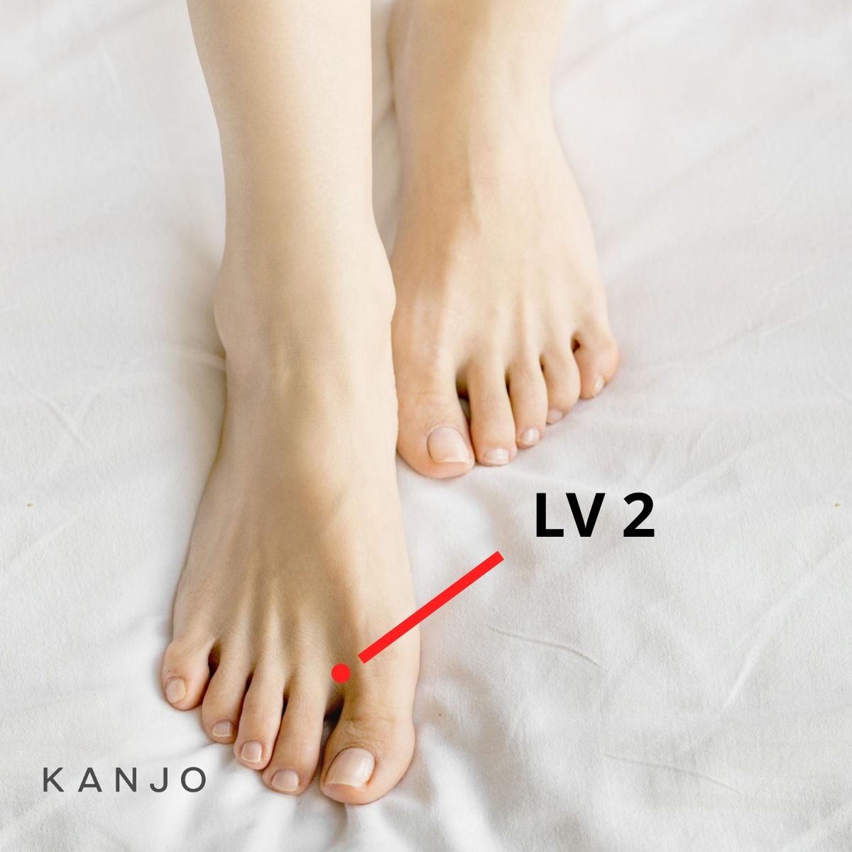 Liver 2 (LV 2) - Xingjian or Moving Between