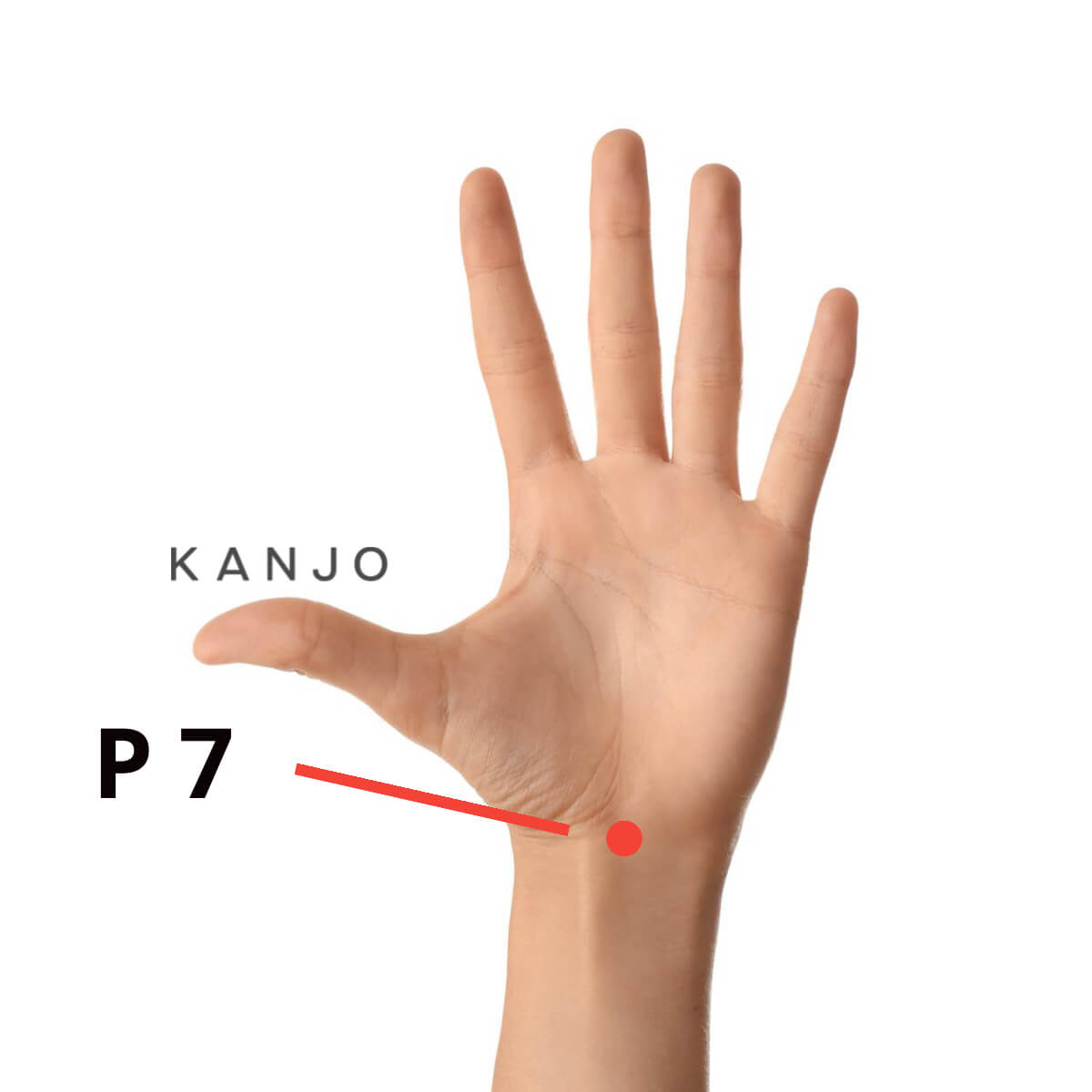 Pericardium 7 (PC 7 or P 7) Pressure Point